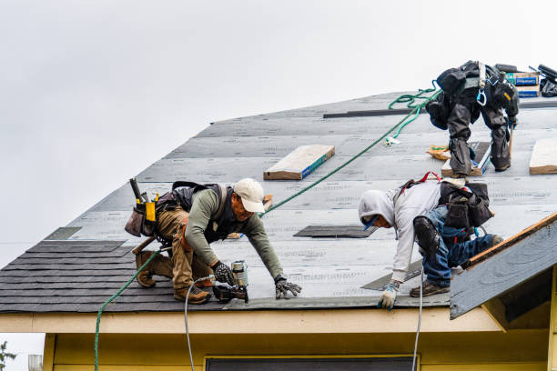 Professional Gutter Installation technician working in Port Royal, VA